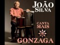 Vídeo para JOÃO SILVA E LUIZ GONZAGA
