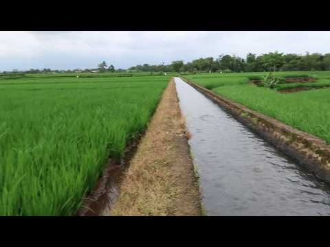 download lagu mp3 mp4 Nature Tones Mp3 Free Download, download lagu Nature Tones Mp3 Free Download gratis, unduh video klip Nature Tones Mp3 Free Download