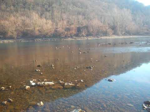 Garavi Džo - Kada na ovom svijetu padnem