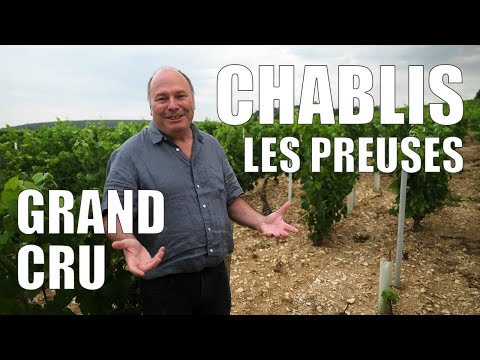 Chablis grand cru Les Preuses – Burgundy winemaker François Servin tells the story behind the wine