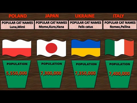 Population Comparison: Cat Population By Country | Countries With Most Pet Cat Population