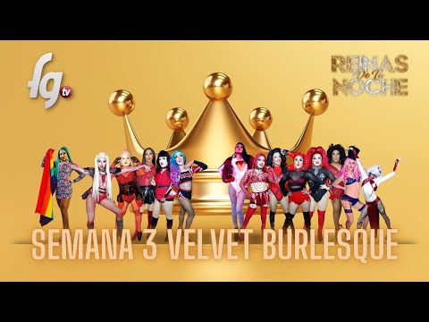 REINAS DE LA NOCHE / TEMPORADA 6 / SEMANA 3 - CANAL FARANDULA GAY