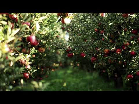 And You Give - Matthew Barber