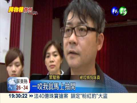 防疫第一線 捕狗隊未優先打疫苗