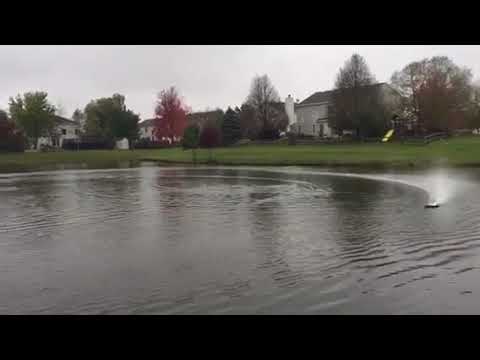 Rc Pro Boat UL-19 Hydroplane