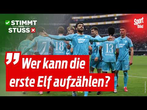 Ist Hoffenheim der verrückteste Klub der Bundesliga? | Stimmt oder Stuss
