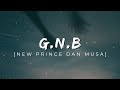 Danmusa New Prince - GNB (Lyrical Video) Ganinki nayi bana