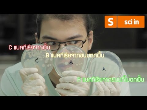 วิธีการที่จะกระตุ้นผู้หญิงอยู่บนเตียง ลูกเล็ก ๆ บนเป็นสมาชิกของบังเหียน