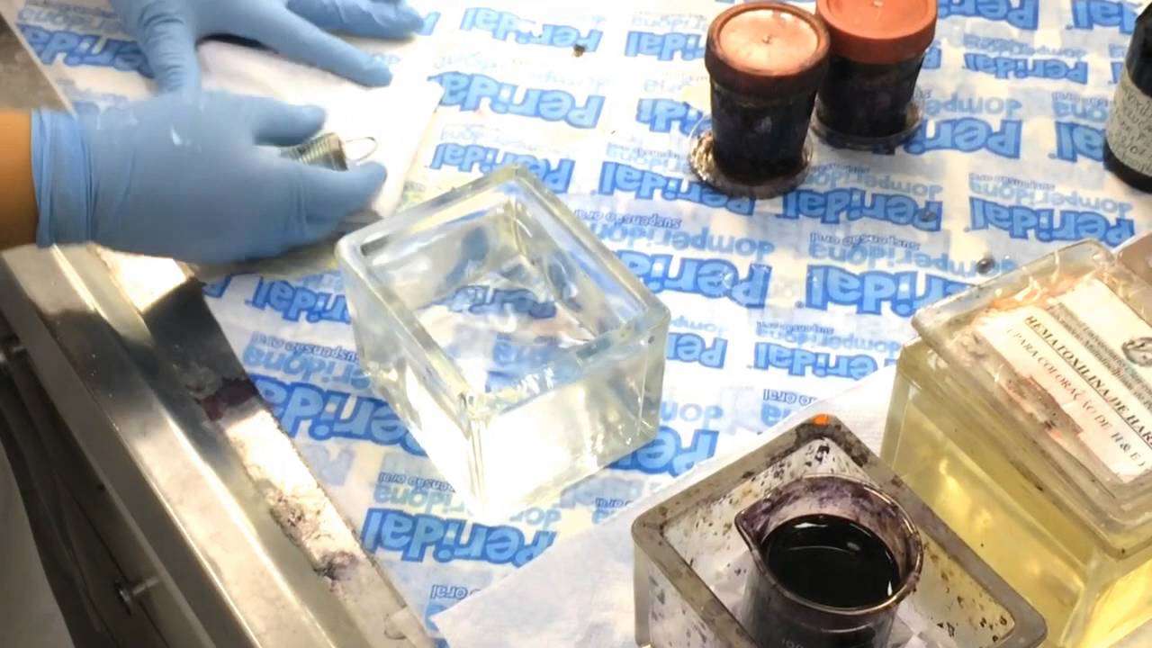 Técnica de HE - BÁSICO - Prof. Claudio Bernardazzi