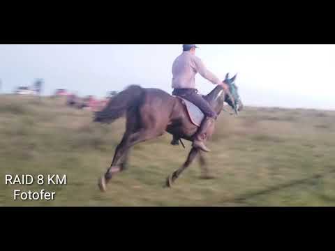 Raid 8 km ..LA TAHONA  ...camino las Pavas ..TREINTA Y TRES