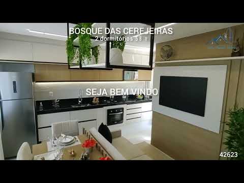 Vídeo