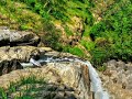 Nature Meditation Whatsapp Status