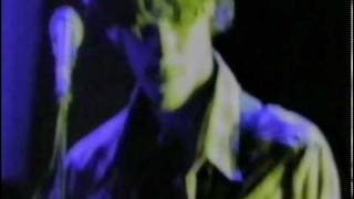 Powderfinger - Tail (live)
