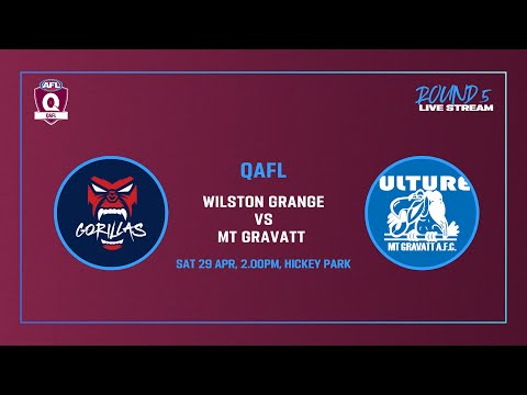 LIVE QAFL ROUND 5 - Wilston Grange v Mt Gravatt