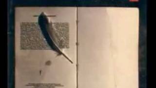 Silent Poets "Firm Roots"