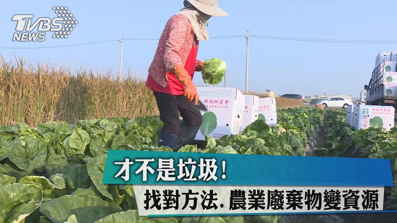 才不是垃圾!找對方法 農業廢棄物變資源