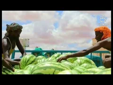 soshek mic Naha  suradaan