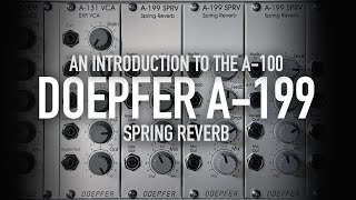 Video thumbnail for Doepfer A-199 Spring Reverb by Detroit-Berlin