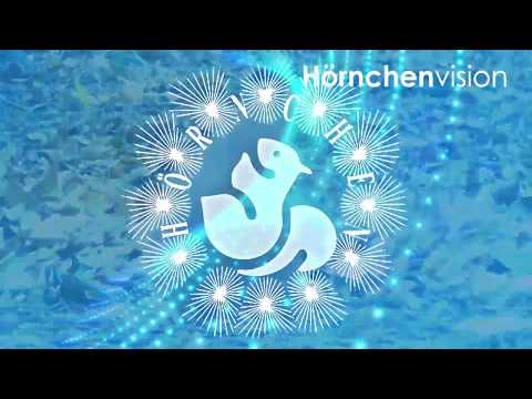 Hamburger Eichhörnchen am Hafenrand nach Silvester-Krieg