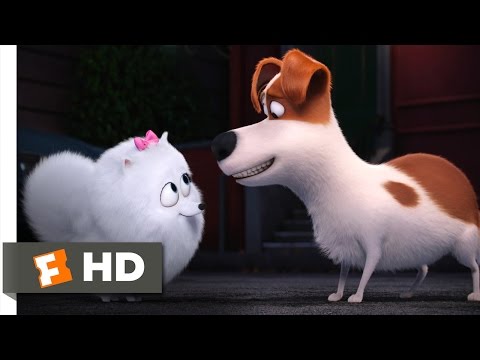 The Secret Life of Pets - You're In Love Scene (9/10) | Movieclips
