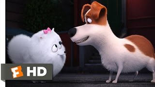 The Secret Life of Pets - You're In Love Scene (9/10) | Movieclips