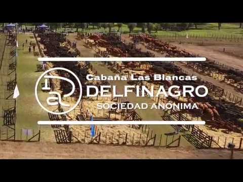 Cabaña Las Blancas REMATE 2017
