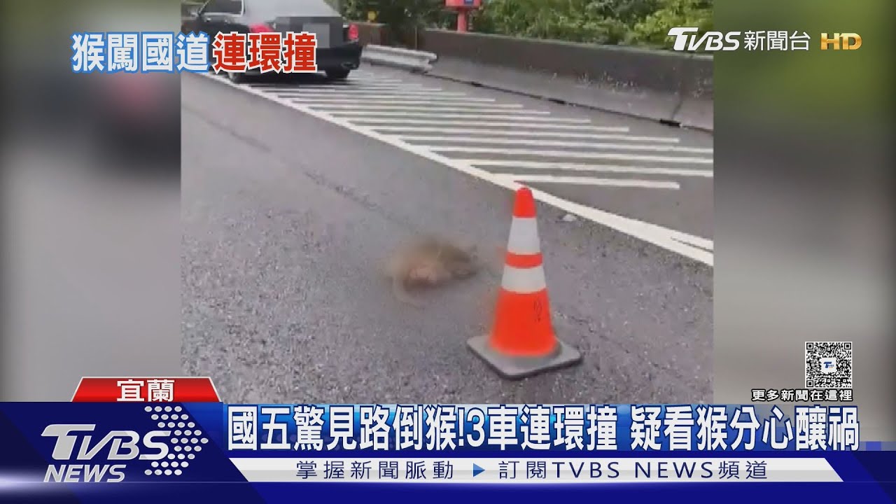 國道五號有倒地猴!駕駛疑分心看猴 三車連環撞釀禍