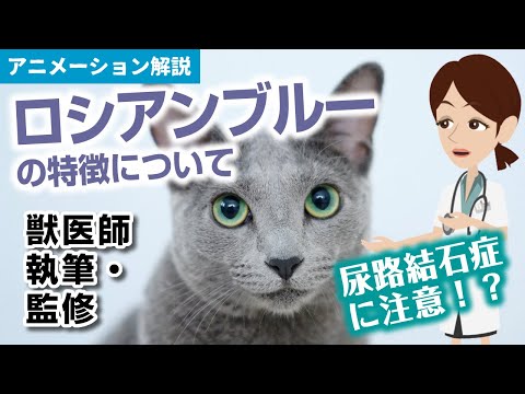 猫のアイコン