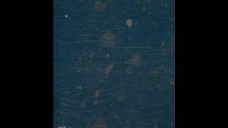 Timewarp with audio test v2