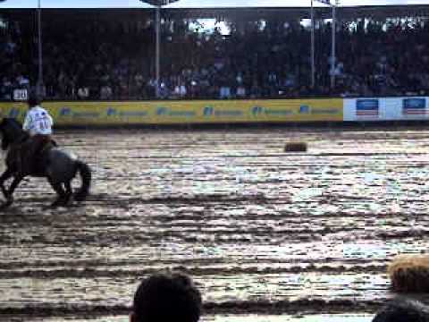 Campeao Final Freio De Ouro 2011 Maxos