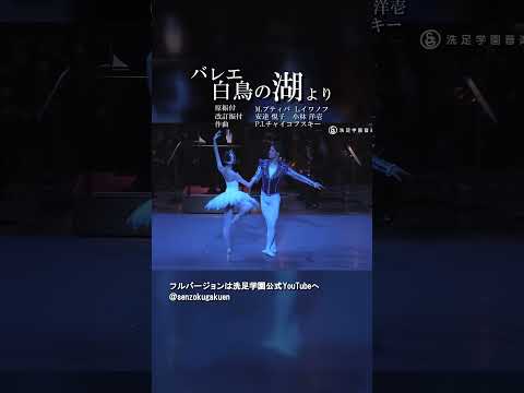 白鳥の湖 より