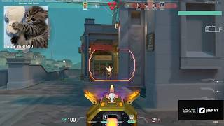 ENVY ion Chamber Pearl RANK 1 ONE TAPS
