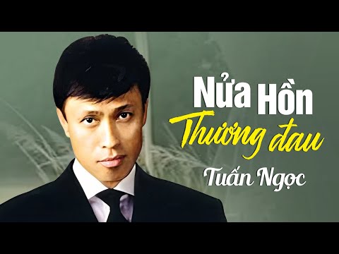 Nửa hồn thương đau Sheet - Tuấn Ngọc