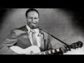 Baby What You Want Me To Do Jimmy Reed 