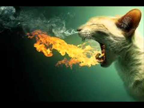 Alive vs tremor - Krewella vs Dimitri Vegas, Martin Garrix, Like Mike - ken mashup