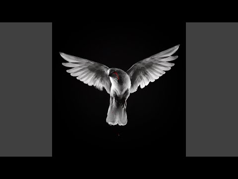 Video thumbnail for When Doves Cry (Radio Edit)