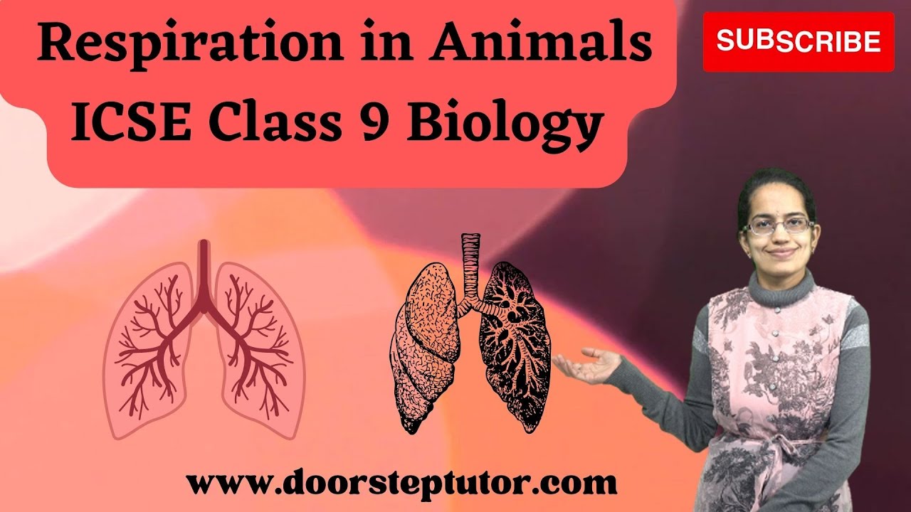 Respiration in Animals: Lungs, Nose, Pharynx, Larynx, Trachea, Bronchi | ICSE Class 9 Biology