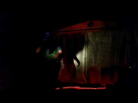 Babsi Tollwut Live @ Raumerweiterungshalle Soli für Liebig 34 / 01.09.2018