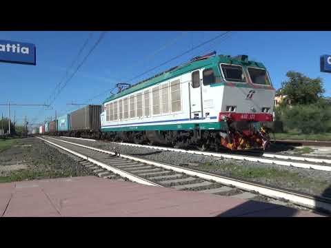 IL CANTO DELLA TIGRE E652.172, IN TRANSITO A COLLE MATTIA!!