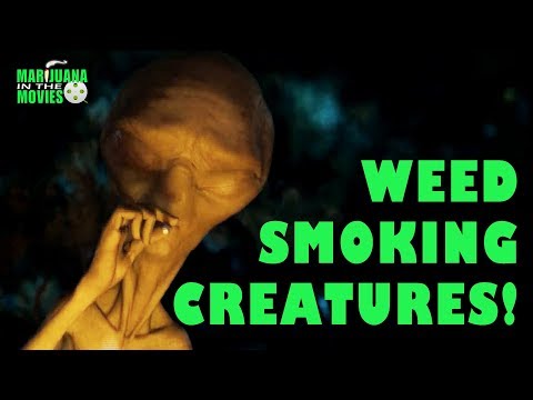 YouTube Video Preview