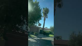 Independent day in Palm Springs #shorts #short #california #palmsprings