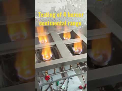 Domestic Cooking Gas Burner Repair Service