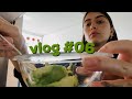 VLOG | #06 - AVOCADO TOAST & FUI DIRIGINDO PRO INTERIOR.