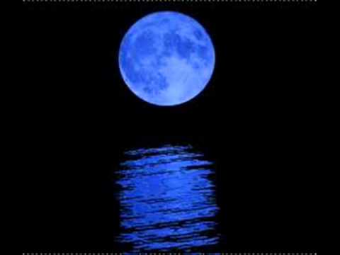 ｖｉｖｉ ｉｌ ｔｕｏ ｓｏｇｎｏ