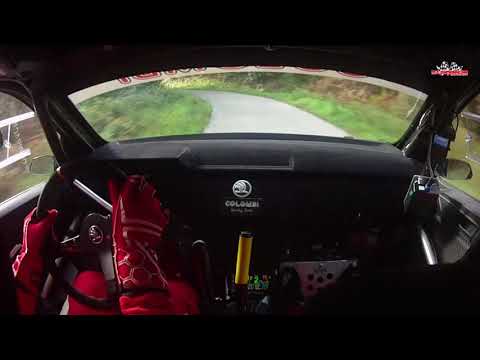 Rally città di Pistoia 2017  Tognozzi - Pinelli  Skoda Fabia R/5  2° ASSOLUTI