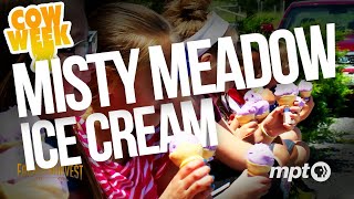 Misty Meadows Creamery | Cow Week