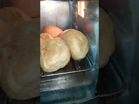 Reheat Bread 🍞#foodie #foodtrip #shorts