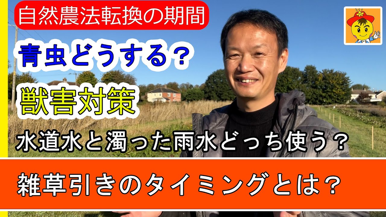 自然栽培Q&A!水やり・採種・害虫対策