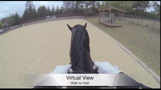 Virtual View: Walk to Halt