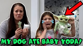 My Dog Ate Baby Yoda! RIP Baby Yoda | Save Baby Yoda